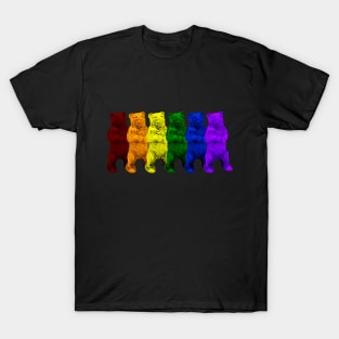 Rainbow bears T-Shirt